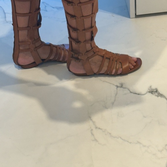 Tall Saint Laurent Gladiator sandals. Worn only a few times. - Picture 3 of 9